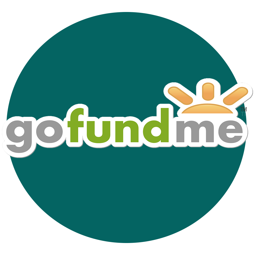 gofundme challenge everest